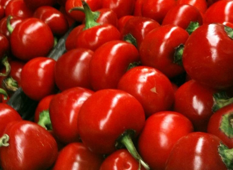 Taking Care Of Sweet Cherry Pepper Plants|TakeSeeds.com