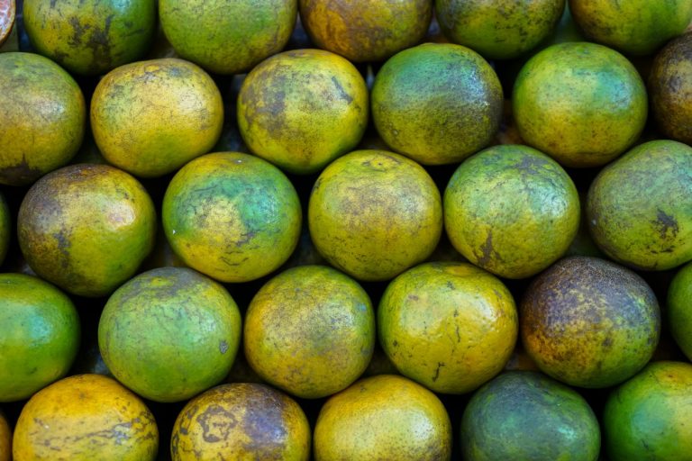 Why Are There Marks On Citrus Fruits|TakeSeeds.com