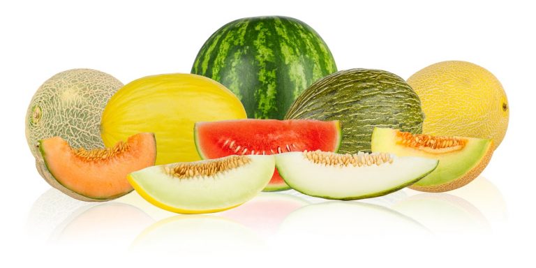 Area 6 Melon Varieties– Can You Grow Melons In Zone 6 Gardens|TakeSeeds.com