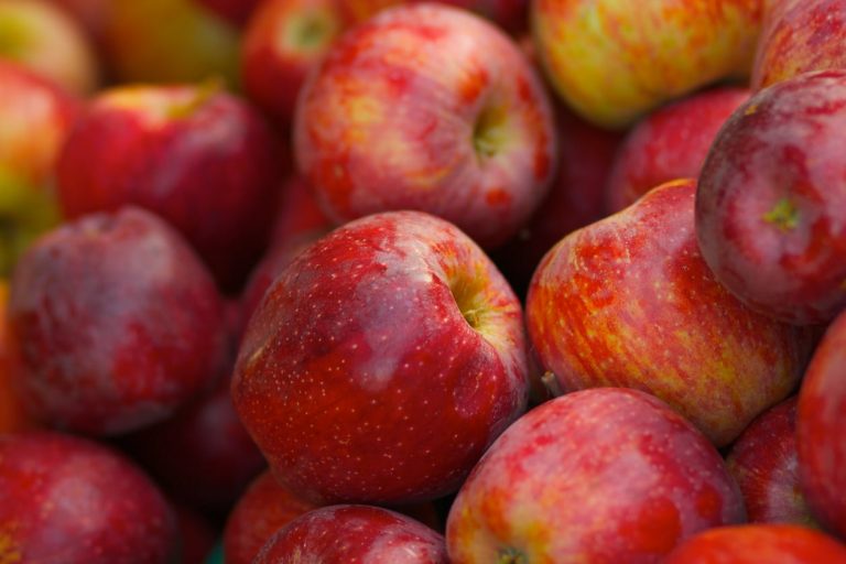 Discover How To Grow Braeburn Apple Trees|TakeSeeds.com