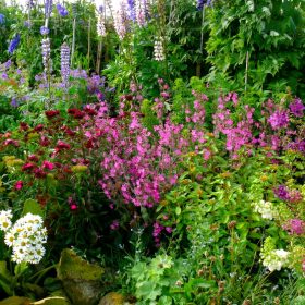 What Is A Bedhead Garden – Creating Messy Garden Designs