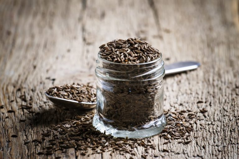 Just How To Use Caraway Seeds And More|TakeSeeds.com