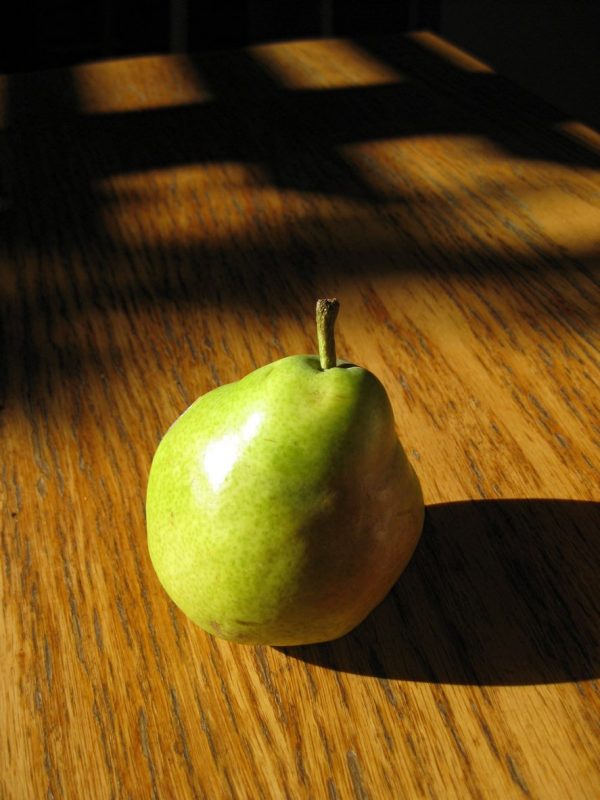 Pear 'Early Gold' Info- Early Gold Pear Tree Growing Requirements ...