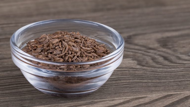 Discover The Benefits Of Caraway Seeds|TakeSeeds.com