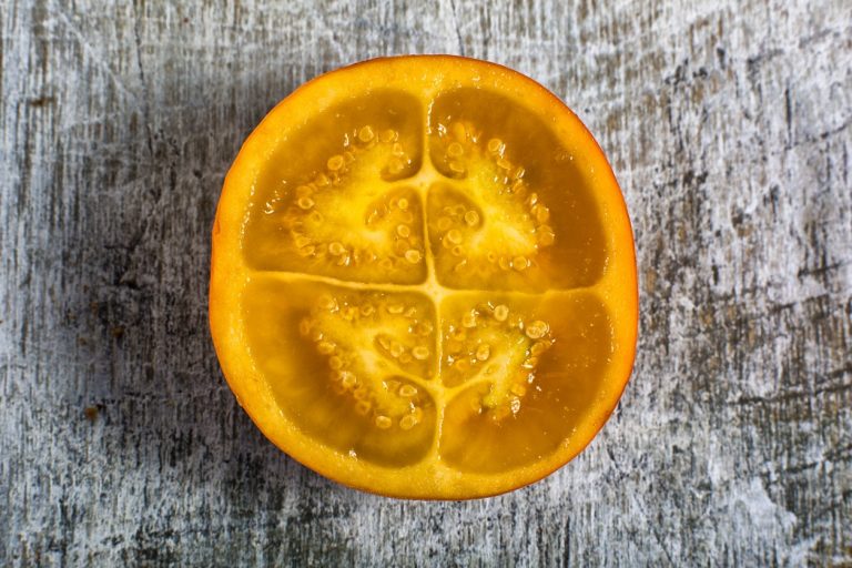 My Naranjilla Won’t Fruit– Reasons For No Fruit On Naranjilla Plants|TakeSeeds.com