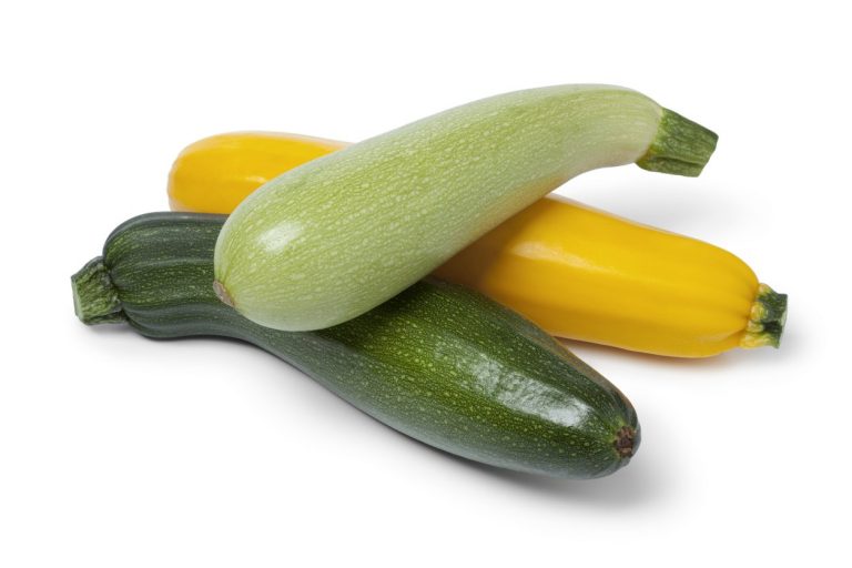 The Amount Of Kinds Of Summer Squash Are There|TakeSeeds.com