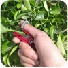 Vegetable Thump Knife Harvesting Tool for Garden Orchard