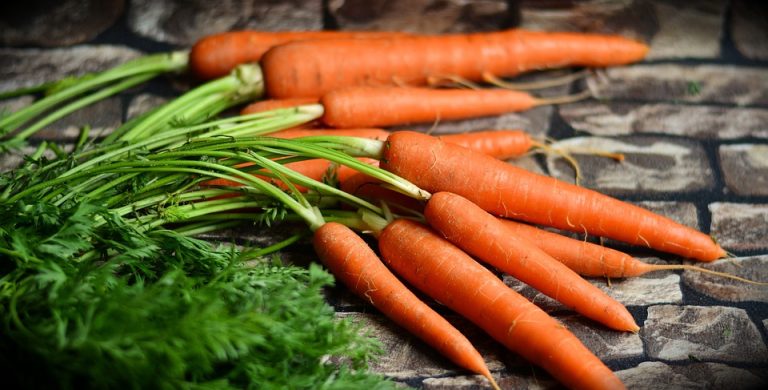 How to Choose the Right Soil for Growing Vegetables Indoors