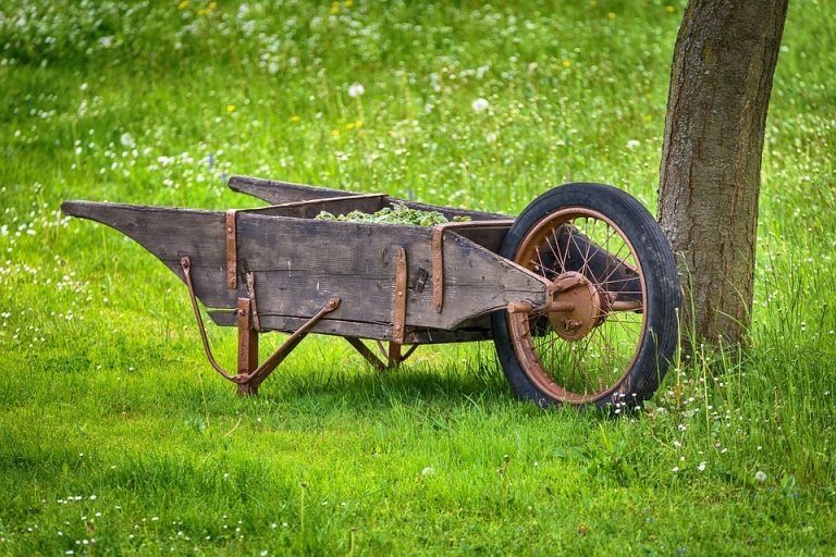 How to Create a Garden Tool Storage System