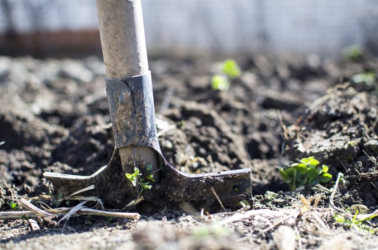 How to Sharpen Garden Tools at Home