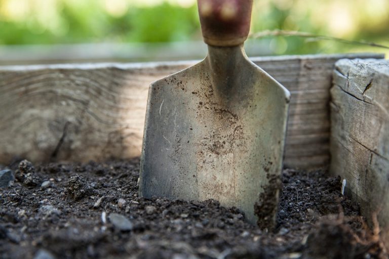 How to Sharpen Garden Tools with a File