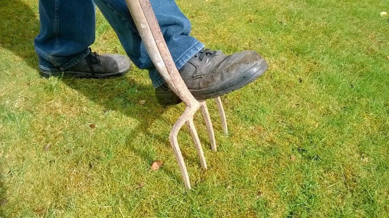 The Benefits of Owning a Small Garden Cart or Wheelbarrow