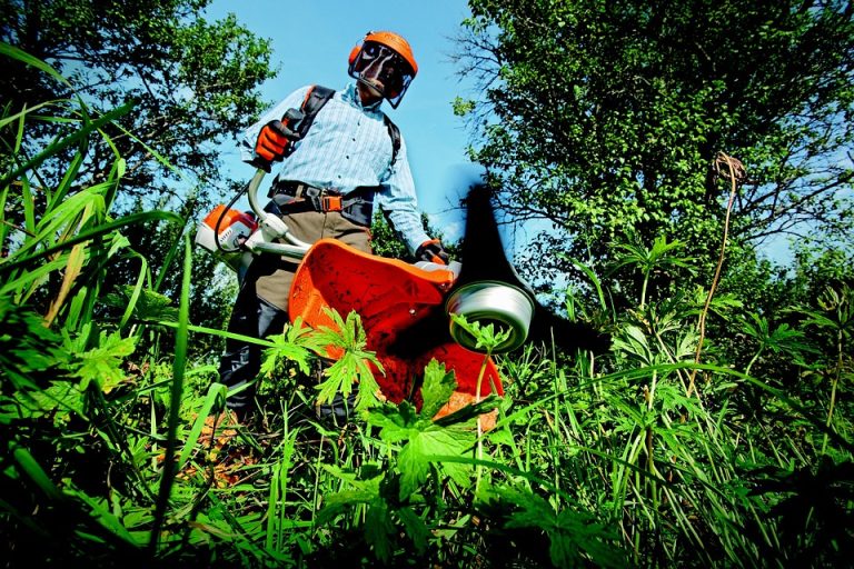 How to Sharpen Garden Tools for Maximum Efficiency