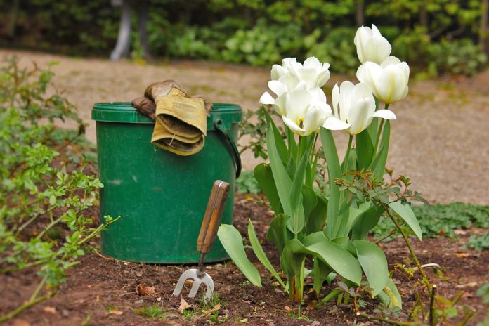 gardening tools