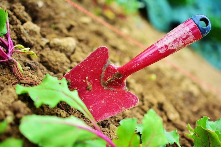 What is a Wheelbarrow and How Does it Work?