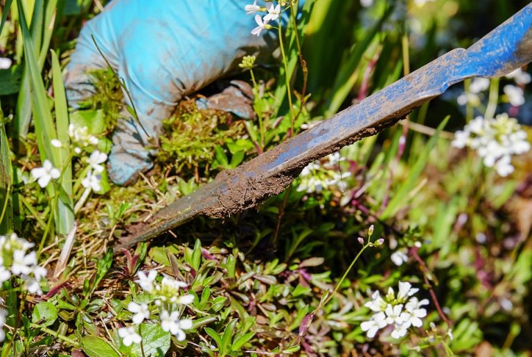 The Most Space-Saving Garden Tool Storage Solutions from Bunnings