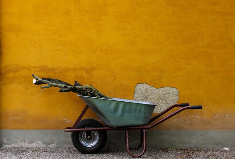 The Pros and Cons of Using a Cart vs. a Wheelbarrow