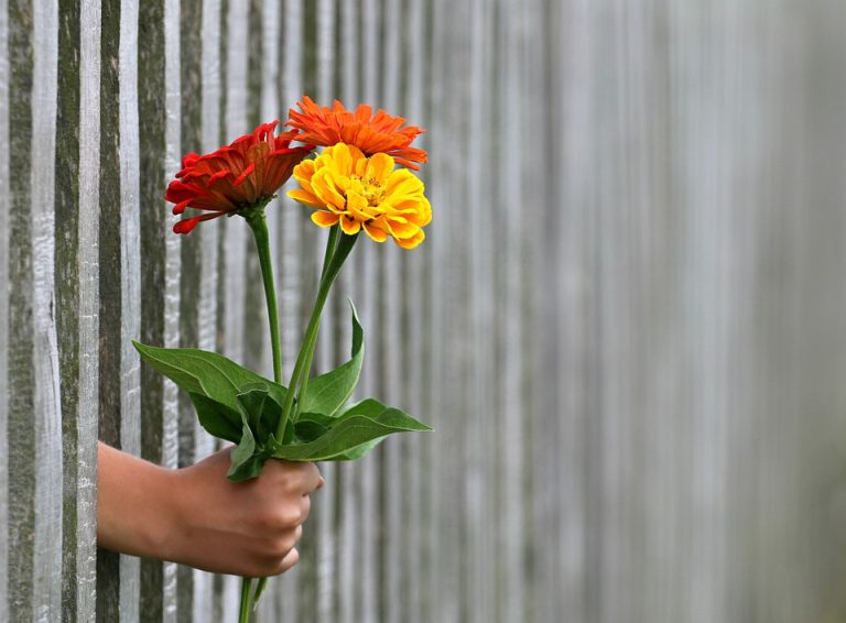 Tips for Growing Flowers in a Greenhouse