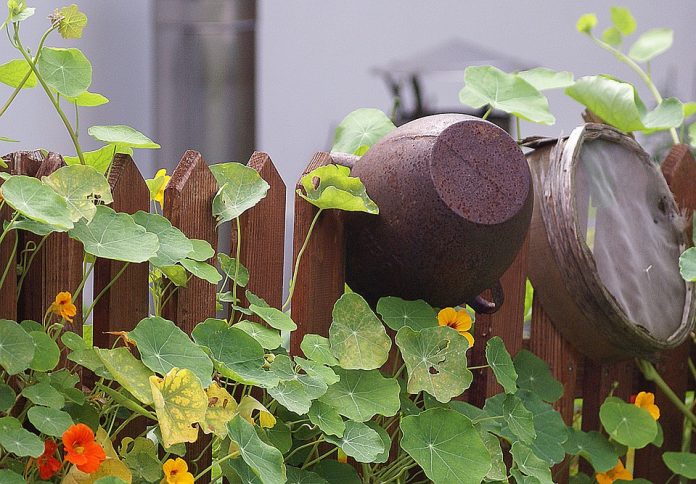 gardening tools