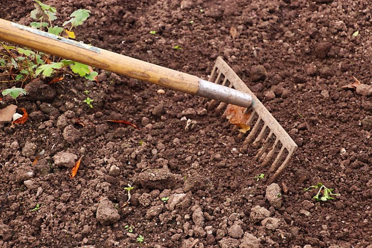 How to Sharpen Garden Tools with a Stone