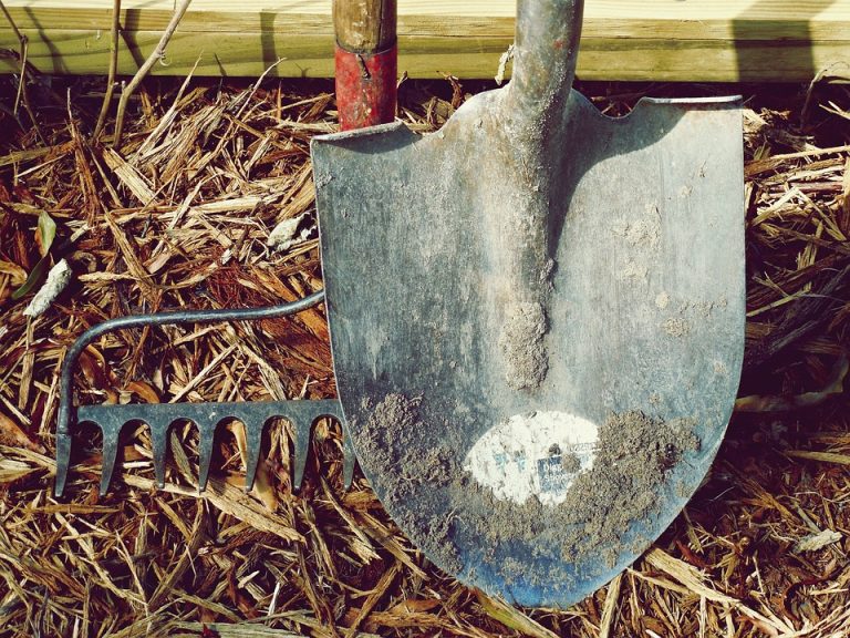 Essential Gardening Tools Every Beginner Should Have