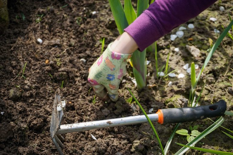 The Benefits of Investing in Garden Tool Storage from Bunnings