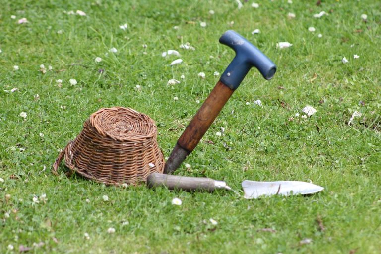The Essential Garden Maintenance Tools List