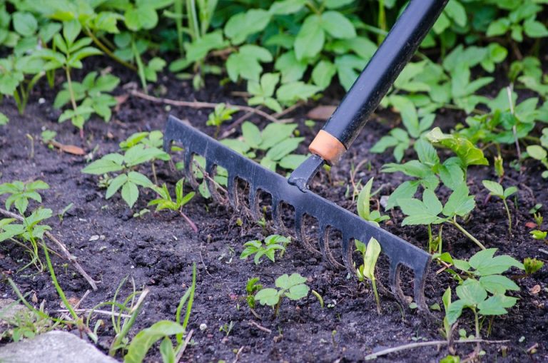 The Benefits of Having a Garden Tool Storage Cabinet in Your Garage