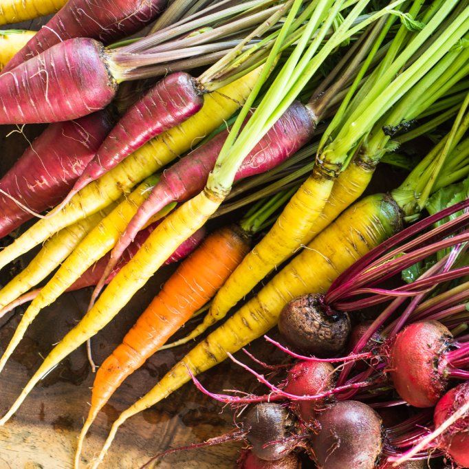 Colorful Vegetables That Look As Good As They Taste | TakeSeeds.com