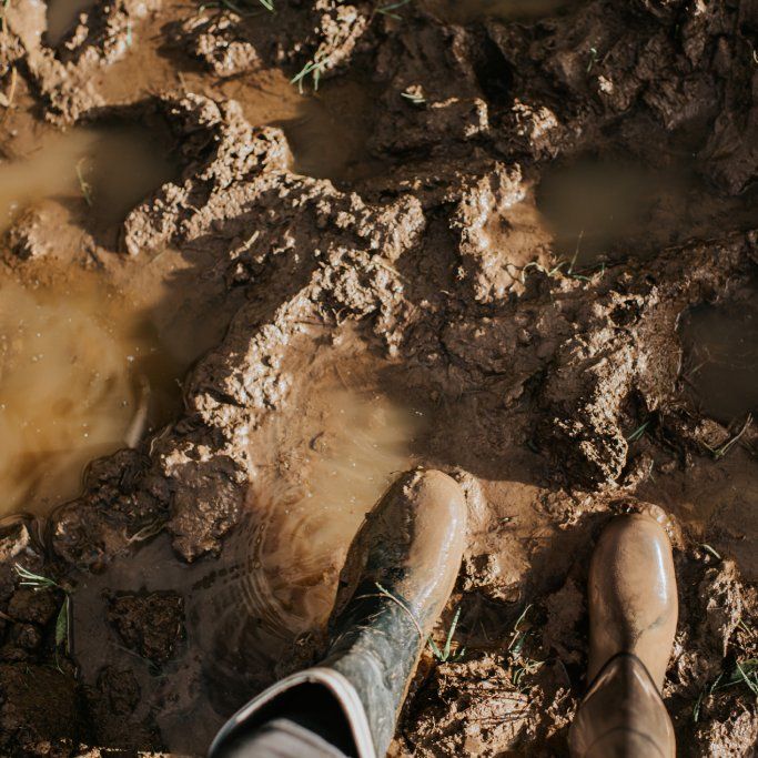 What To Do About Waterlogged Soil In The Garden | TakeSeeds.com
