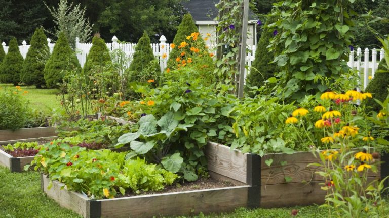 6 Beautiful Vegetable Garden Ideas – Feast Your Eyes On These! | TakeSeeds.com