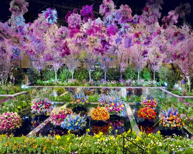 7 Key Trends We’re Taking From The Philadelphia Flower Show | TakeSeeds.com